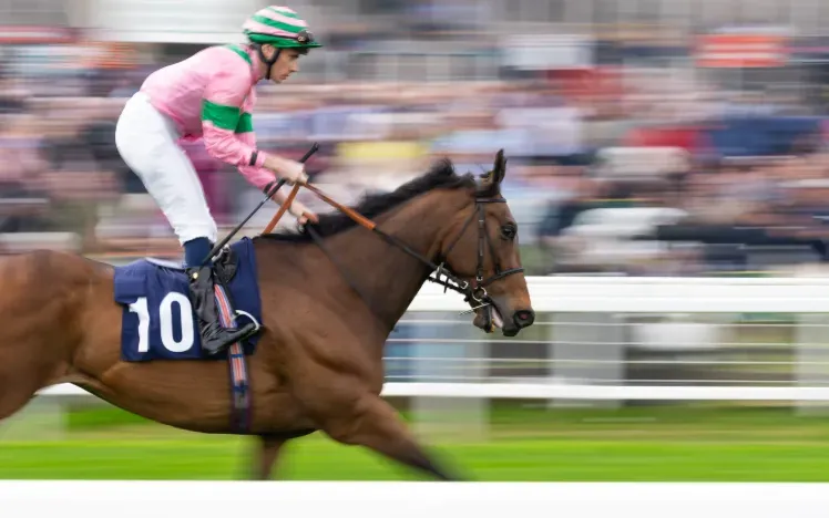 A horse races by the camera in front of a blurred crowd