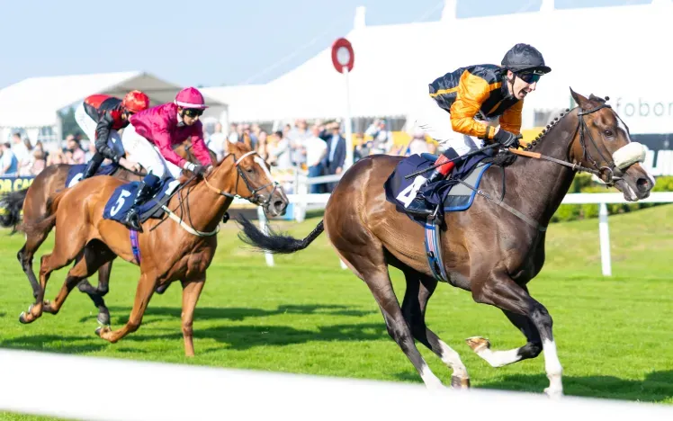 Horses racing down the final straight in the sunshine